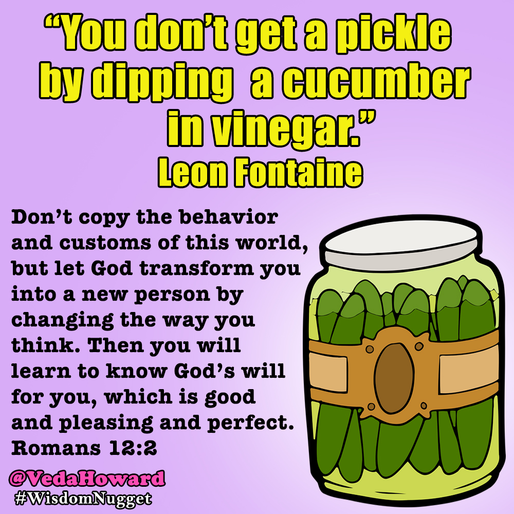 Wisdom Nuggets by Veda Howard